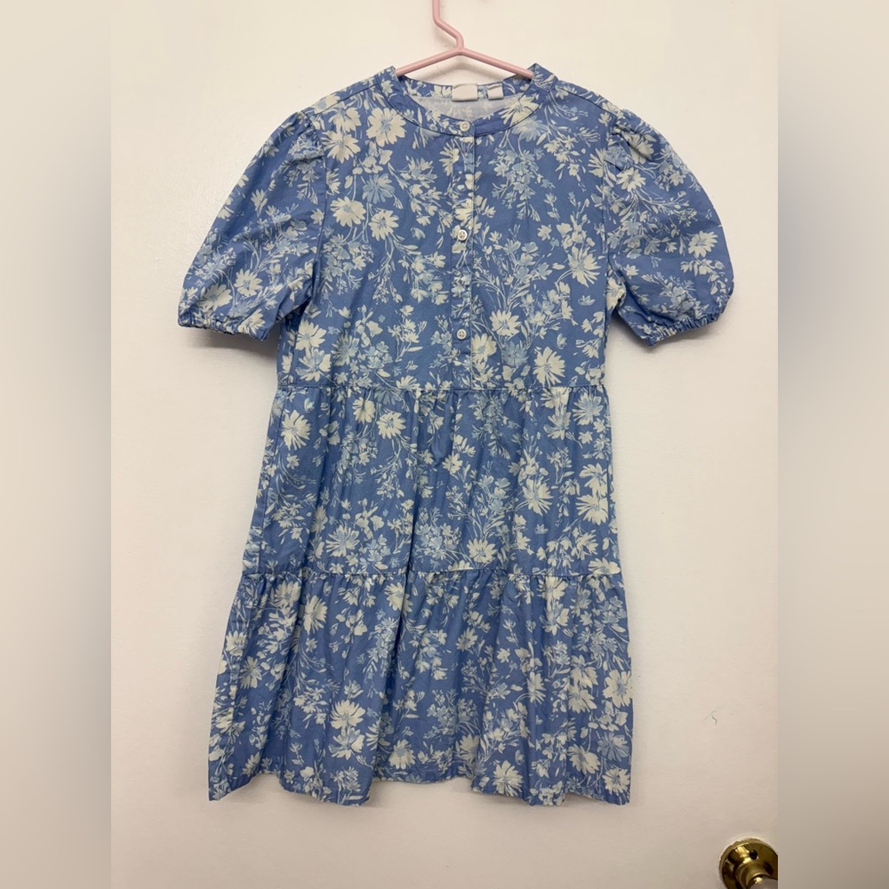 GAP Blue and Cream Floral Kids Dress